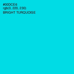 #00DCE6 - Bright Turquoise Color Image